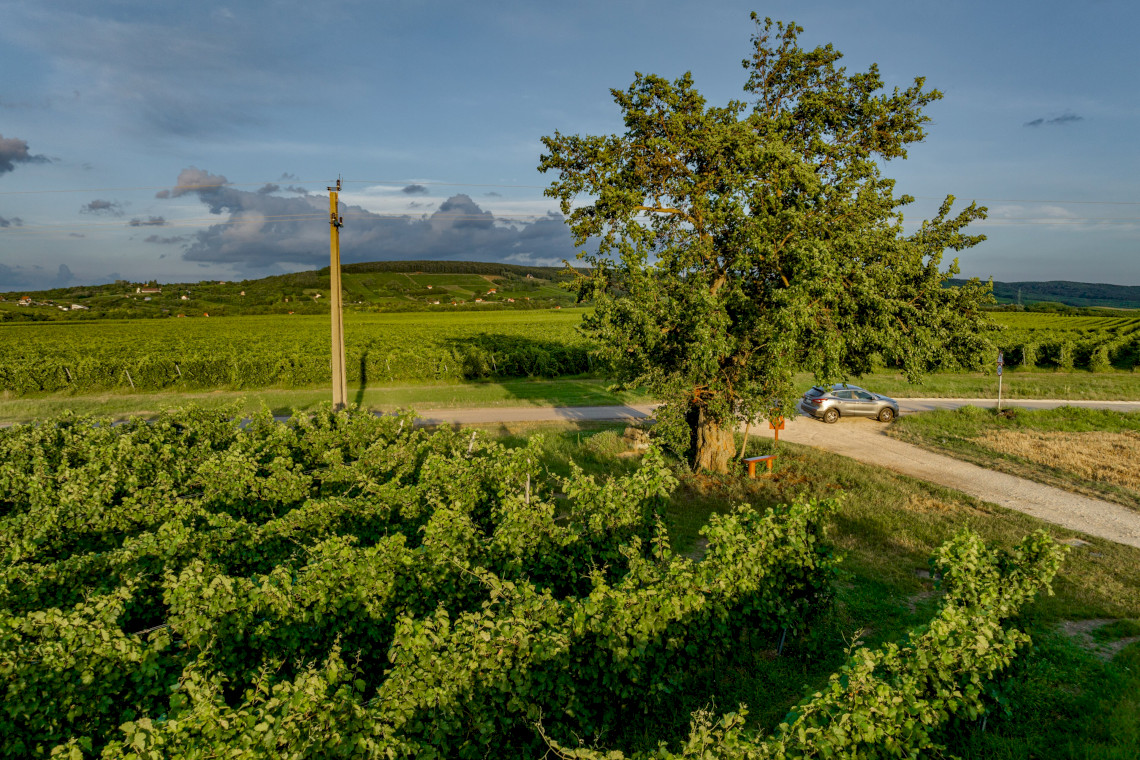 DJI_0434