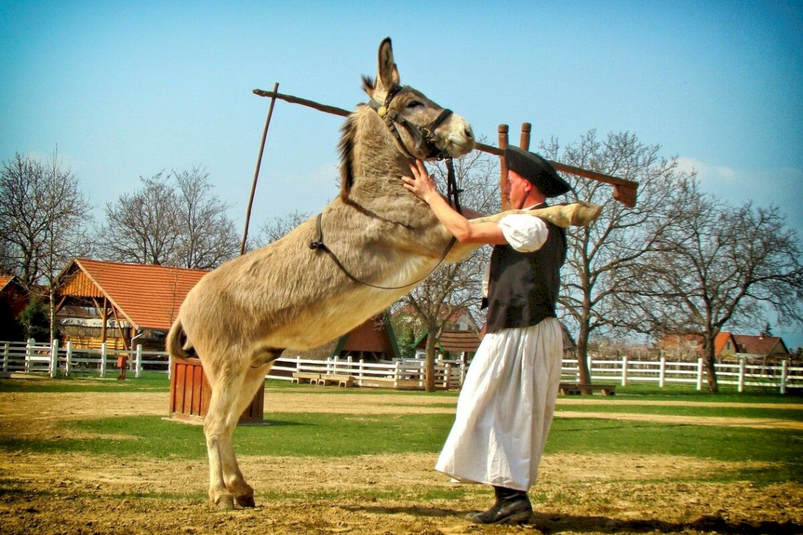 rádpuszta 11